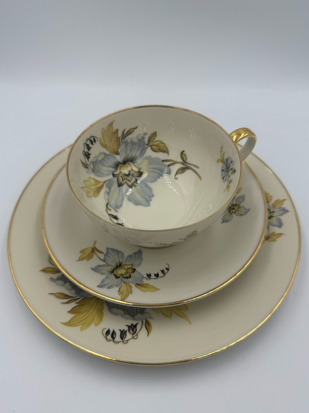 Vintage PT Bavaria Tirschenreuth Floral Tea Trio Set #1250